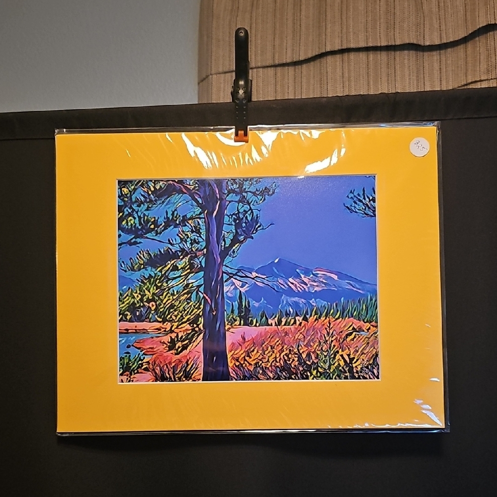 Sierra Nevada High Quality Photograph With Mat